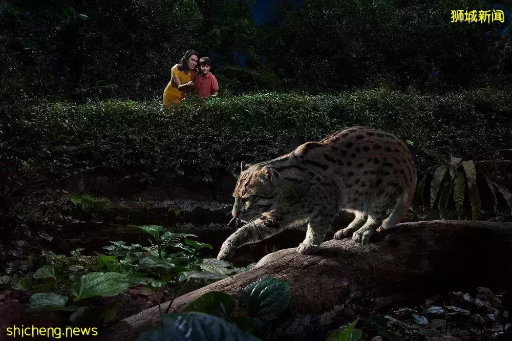 5月1日起入境新加坡可使用IATA通行證，新加坡親子遊攻略