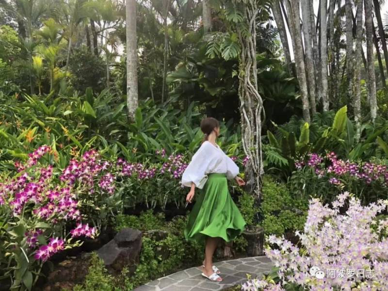 新加坡 | 最喜欢的国家TOP3