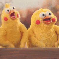 下水抓蛙、摘菜摸鱼、开土摩托……我带娃体验了一把新加坡的农家乐