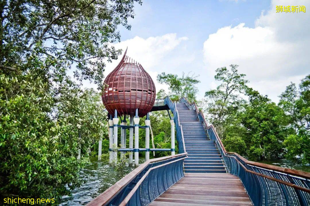 周末帶娃去徒步!10米高木塔、農場、木棧道,湖天一色好美