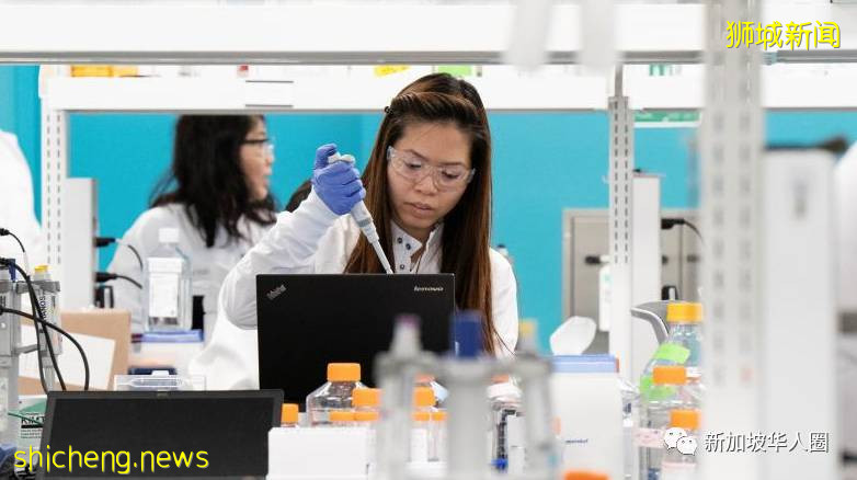 新加坡批准两款美国新的疫苗，在本地进行第一期临床试验