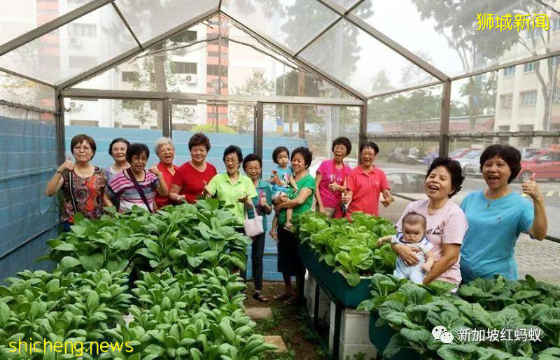 从疏离变冷漠？新加坡组屋邻里纠纷层出不穷，理由也越来越奇葩闻所未闻