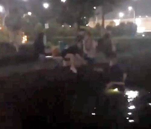 夜半無人私語時 男子跳榜鵝水池