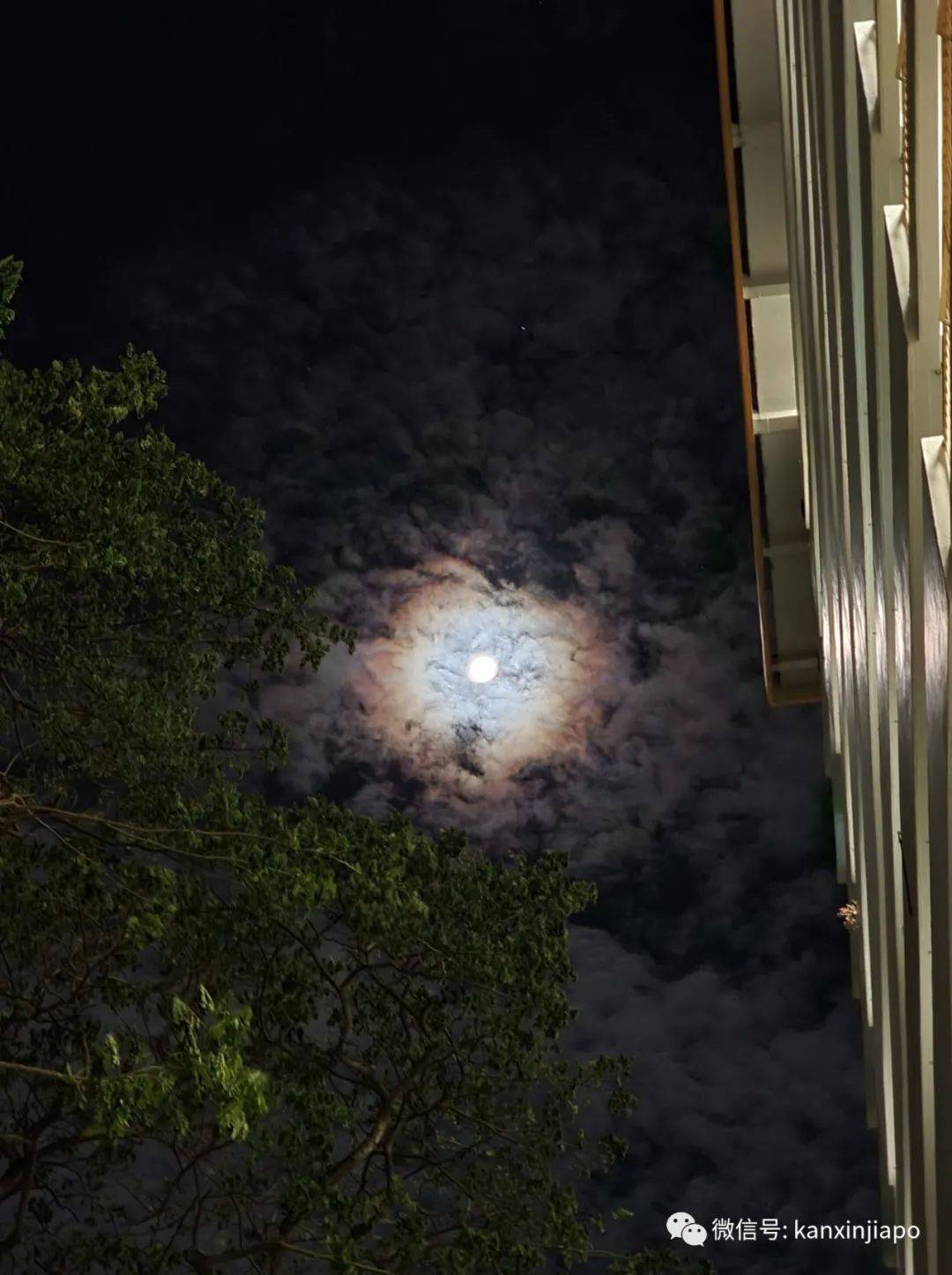 梦幻月晕!新加坡昨晚出现“吸血鬼”月亮