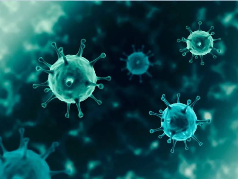 “我在新加坡抗体检测阳性,无法登机回国” 上海本土7例,中国出入境更严了