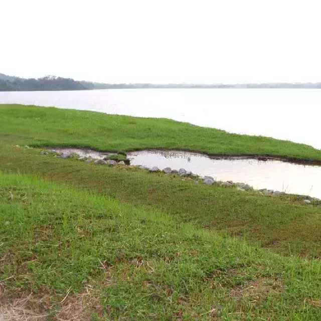 新加坡人深夜排队，翻新一年多的网红景点又开了