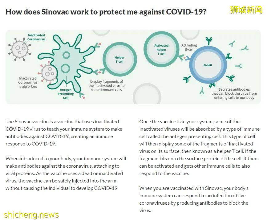 喜大普奔！莱佛士医疗科兴疫苗意向兴趣注册开始了！今天你注册了吗