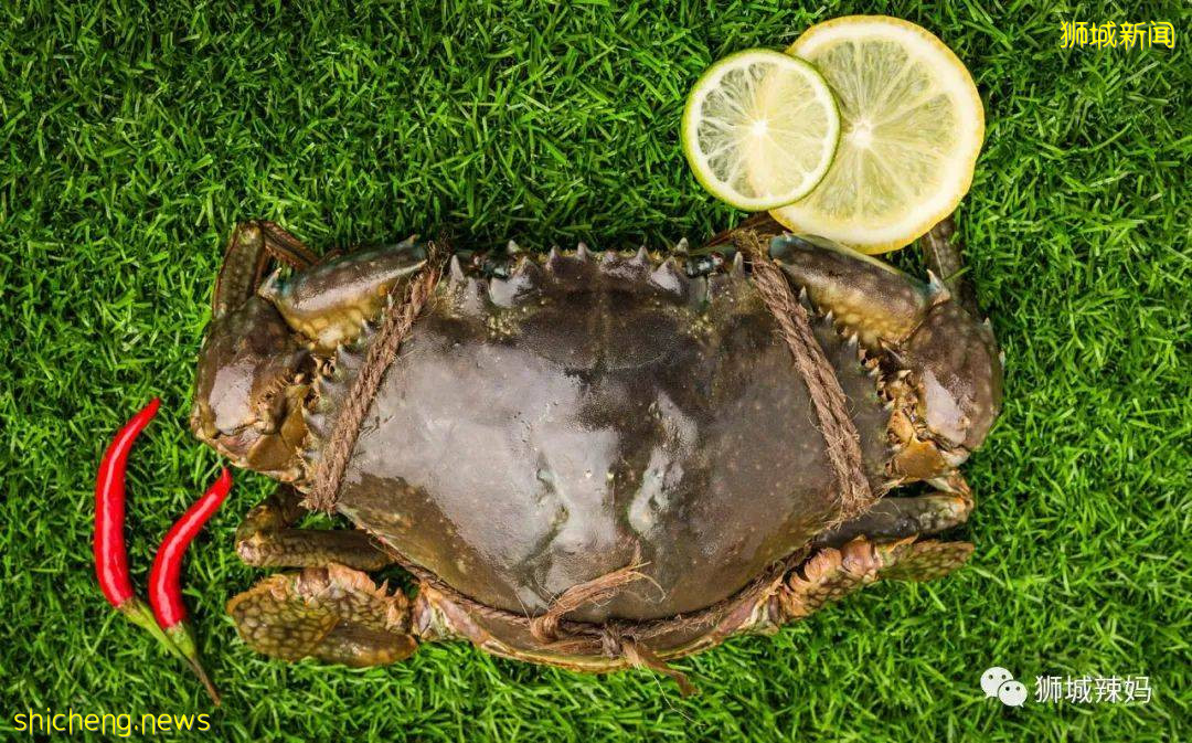 超劃算中國超市！$0.6鮑魚、$8麻辣小龍蝦、活鲫魚、80種海鮮、100多種面食