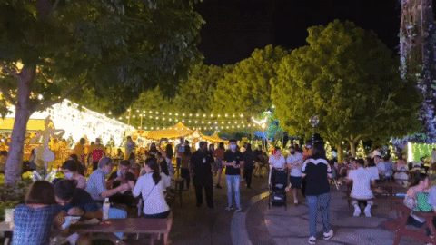 全岛狂欢，迎接美好未来。乌节路，星耀樟宜，滨海湾，这些你熟悉的地方