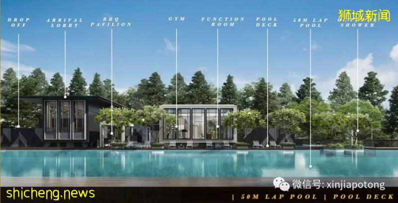 發生了什麽？新加坡阻斷期間大筆資金流入!