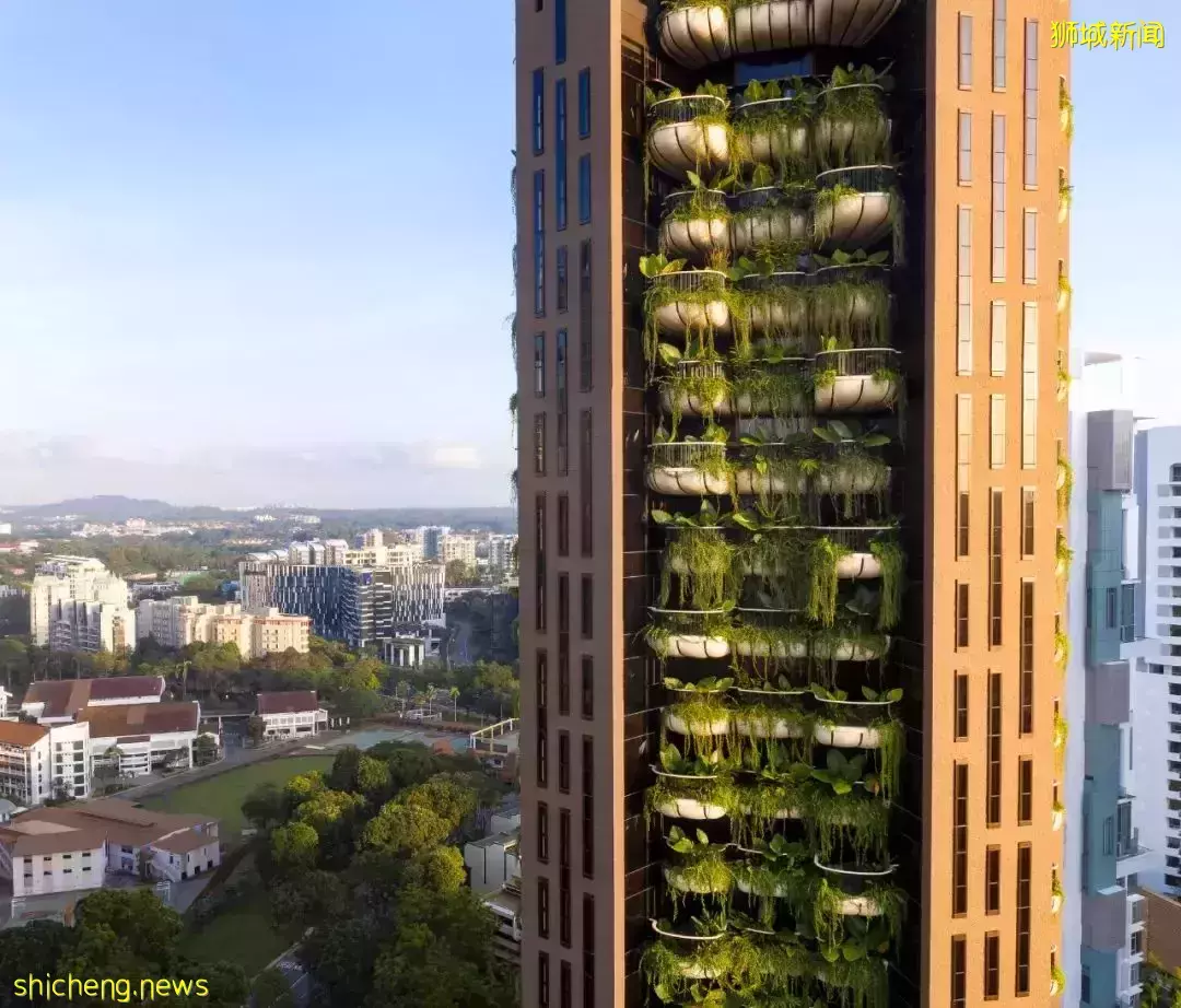 垂直綠化立面——新加坡豪華公寓