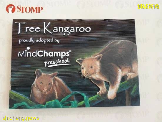 號外!新加坡可以認養企鵝、猩猩、樹懶,能帶回家嗎!