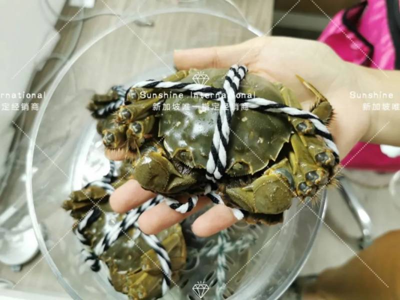 秋天來了 NTU的學生都在這裏領取了他們的陽澄湖大閘蟹