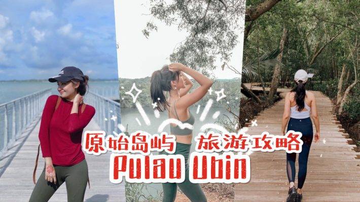 新加坡后花园Pulau Ubin！原始村落环岛骑行和登山，完整攻略+路线清单