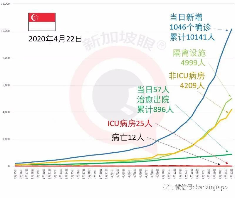 新增x例，累计1xxxx | 病毒已渗入社区，新加坡感染群激增