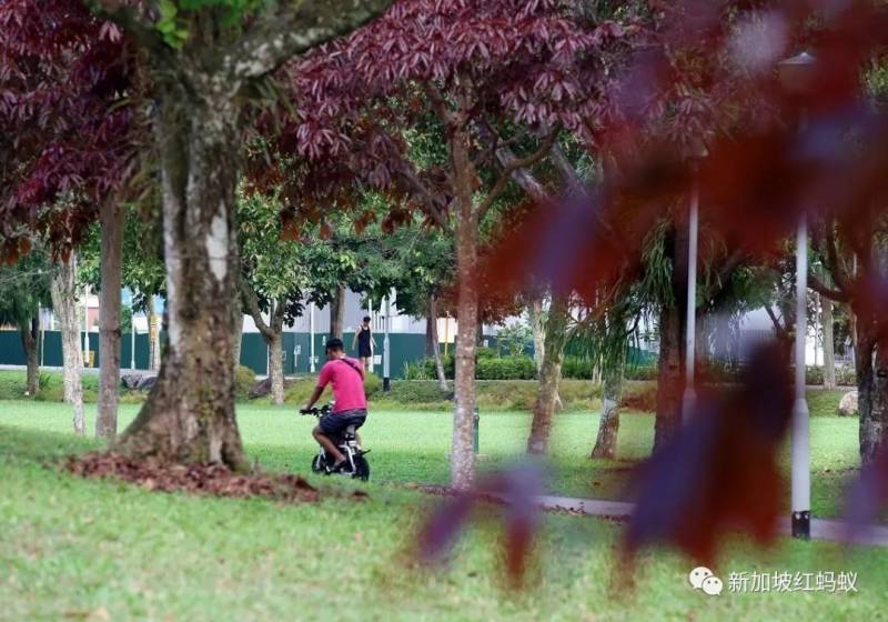 电动代步工具起火跟超速是两码事　别一味要求禁止