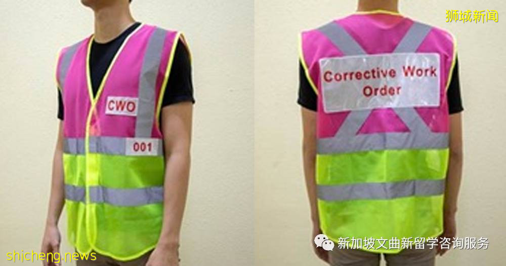 新加坡你不知道的小知識