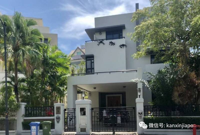 新加坡這條街,前晚出現大量蜘蛛和骷顱頭