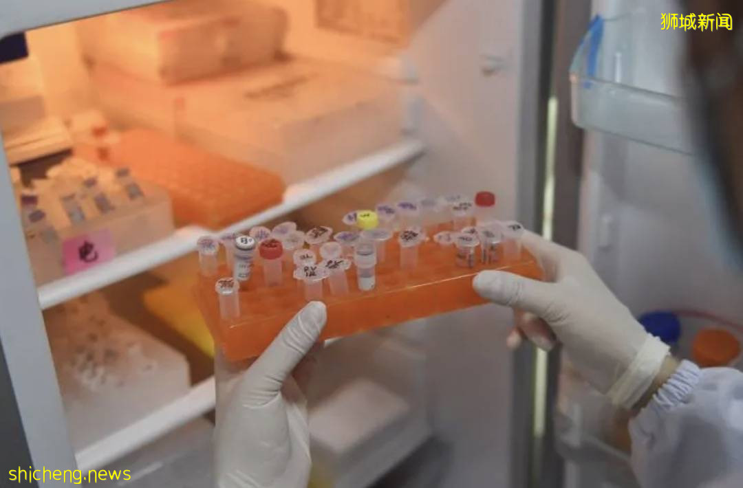 印度甩鍋!“新加坡有變異病毒,要求斷航”!還抹黑中國制氧機,徹底瘋了