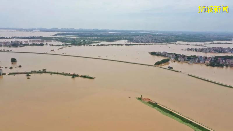 2020年中國南方洪澇嚴重,如新加坡發生洪水,會發生什麽