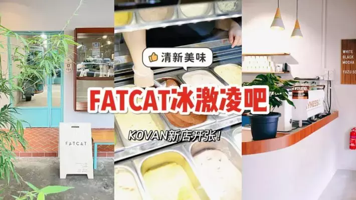 超火冰激凌小店FATCAT开新店啦，就在Kovan