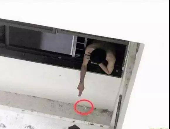 實拍!新加坡這個網紅套上小馬甲,淪落路邊掃垃圾