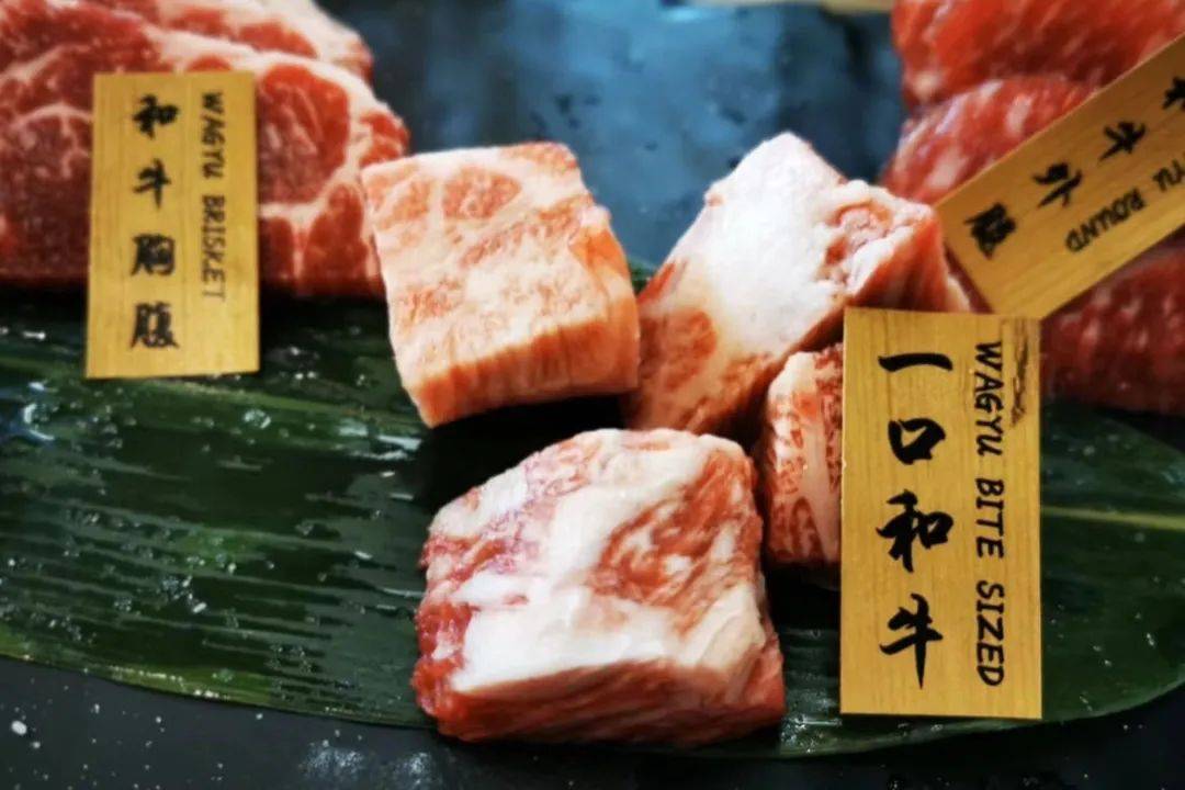 CBD的日本A5和牛自助,管饱管好,麻溜的来