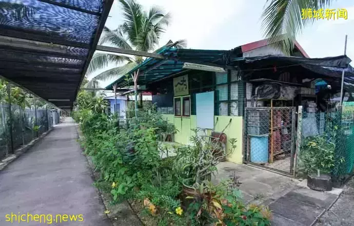 《即刻隨心所想，心想獅城》新加坡生態遊系列2