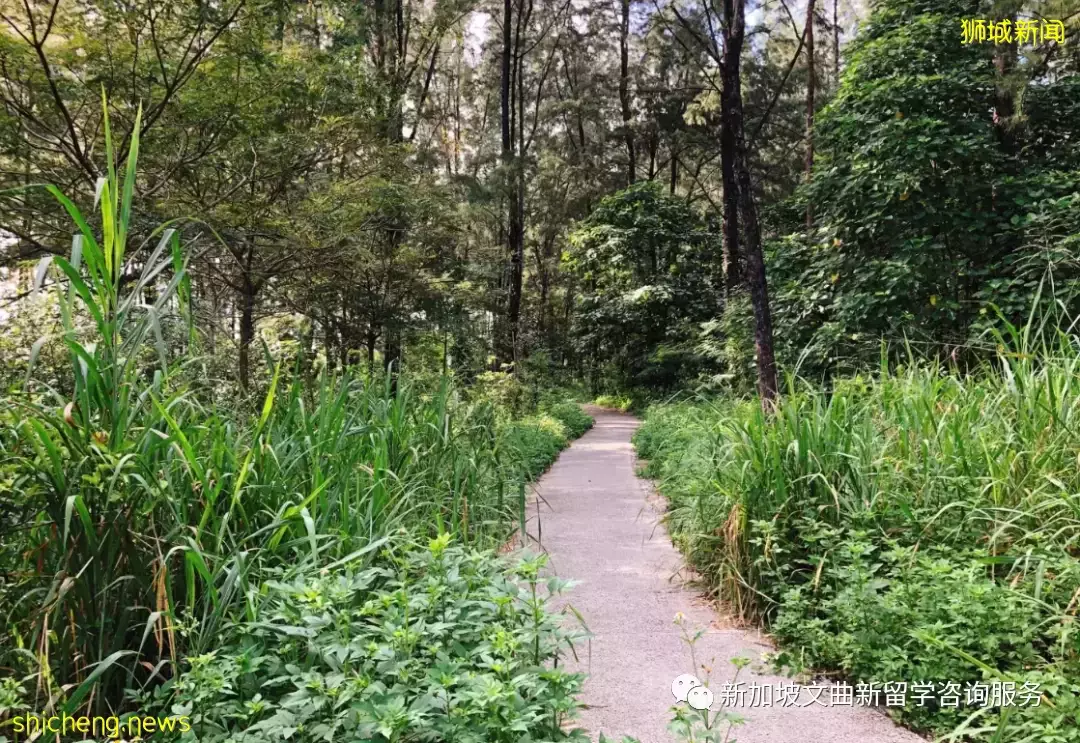 新加坡留学假日好去处,比马尔代夫更美的周边小岛盘点