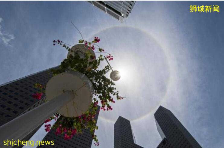 新加坡天降異象、美到犯規！網友大呼：滾蛋吧！病毒君！ .