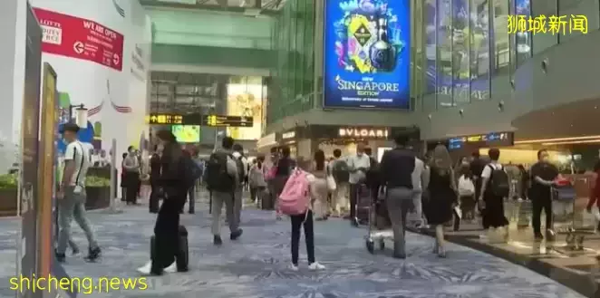 开通新航线,旅客量恢复至4成...樟宜机场重新起航中