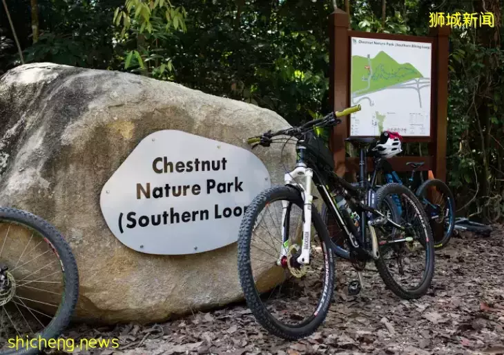 超级奶爸!带着2岁女儿骑行17小时166公里,环游新加坡