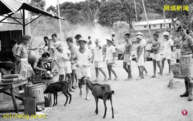 新加坡安乐岛,一个并不安乐的岛,揭开尘封已久的南洋往事