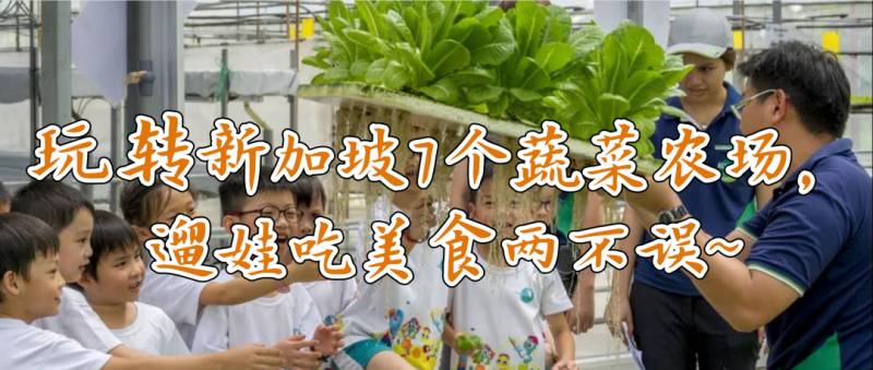 宜家又出大招了！現在起，舊家具都可以送到宜家去換錢了