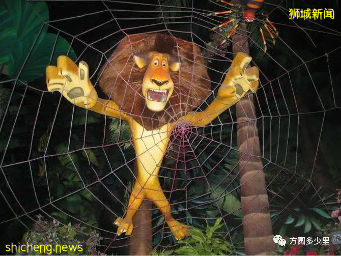 北緯1°，遇見新加坡