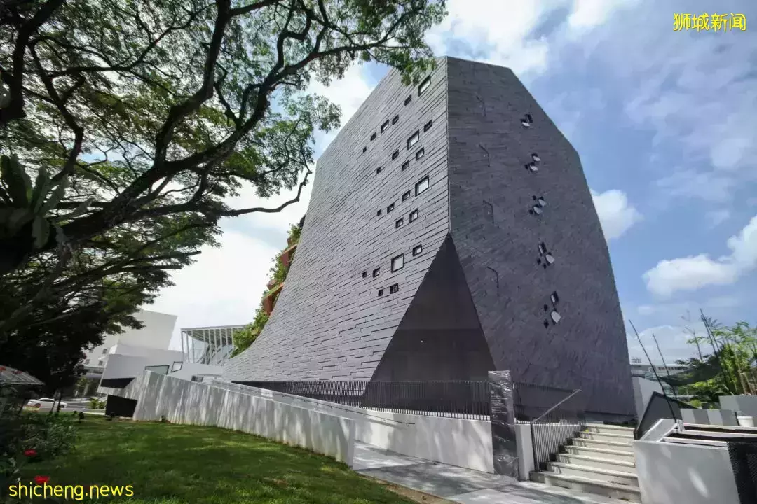 在新加坡，你見過熱戀中的水獺嗎