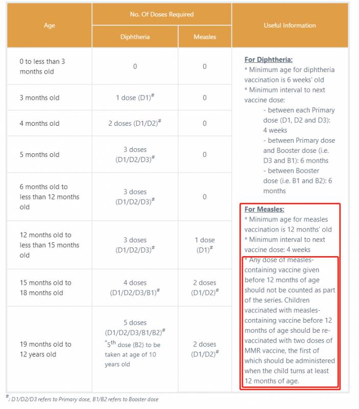 12歲及以下外國兒童入境新加坡的重要文件