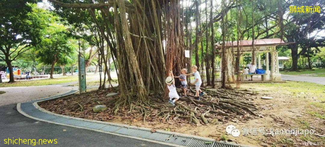 新加坡小众遛娃好去处,吃喝玩乐一应俱有