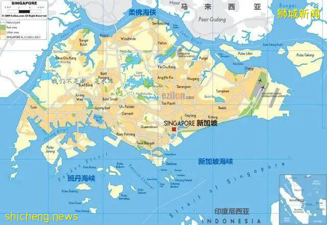 醫在獅城,治愈秘籍在這裏