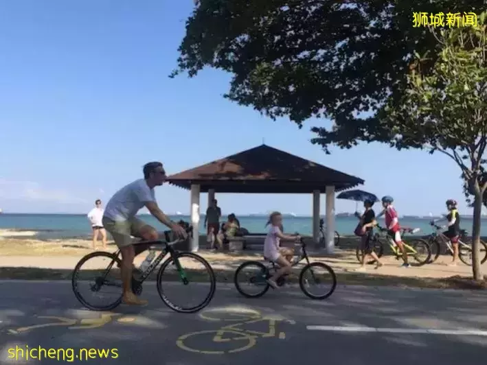 新加坡鼓励低碳出行又出新招啦