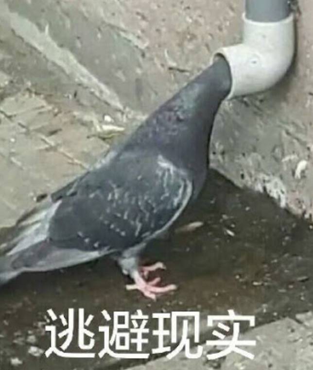 3年前，李顯龍總理說，新加坡部長在中國像個“鄉巴佬”。前天，這一切變了