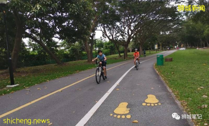 新加坡封城筆記:口罩的故事!