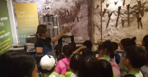 下水抓蛙、摘菜摸鱼、开土摩托……我带娃体验了一把新加坡的农家乐