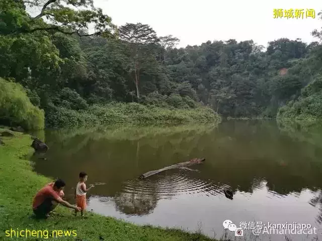 桂林山水甲天下，在新加坡也有