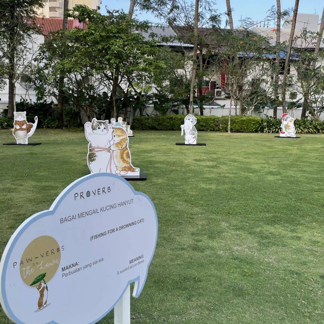 超可爱!马来文化遗产中心惊现多只猫咪