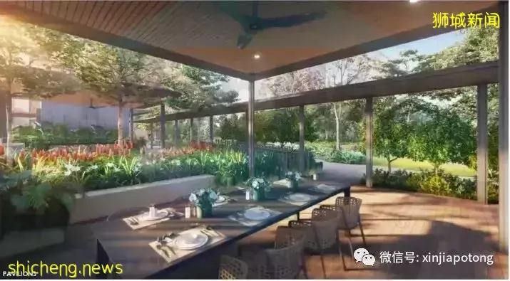 新加坡的“中央公園”突然火了！周圍房價要漲