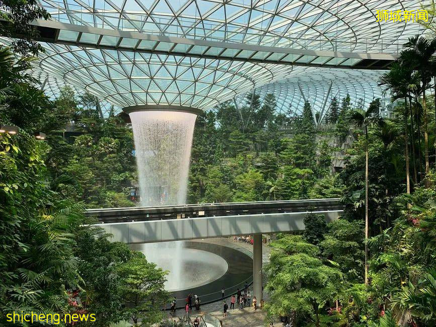 移民新加坡的5种方式,最快的9个月拿绿卡