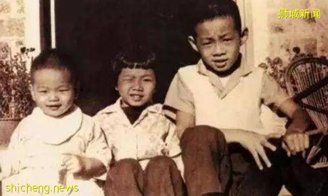 新加坡第一家族的内斗:李显龙三兄妹到底在争什么