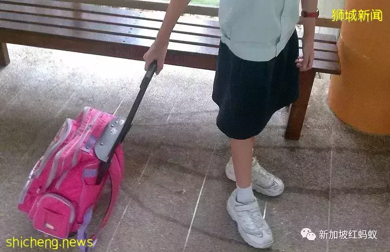 马国小学生书包重达6公斤被令“减重” 狮城小学生书包轻多了