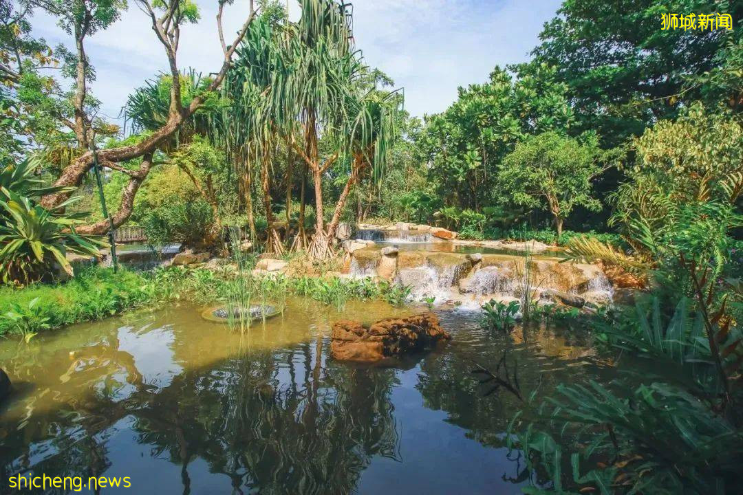 走起!滨海湾花园新景点,翠鸟湿地公园,徒步&观鸟好地方